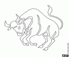 Toro ou Tauro. O touro. Segundo signo do zodíaco. Nome em latim Taurus