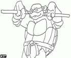 Donatello, a arma de tartaruga ninja disso é o comprido pau japonês Bo