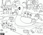 Hamtaro com outros hamsters brincando na lagoa com um pato