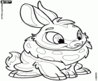 Cybunny, o bonito coelhinho de Neopets