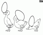 Três patinhos jogando com três ovos