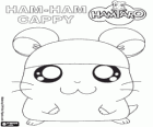 Cappy, o jovem Ham-Ham que ama os chapéus com um boné de natação