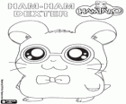 Dexter, o Ham-ham de Curtis. Um Hamster muito refinado