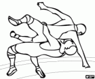 Combate de luta livre. Freestyle wrestling