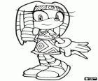 Tikal, a filha do Chefe Pachacamac da tribo de Knuckles