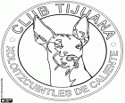 Logo do Club Tijuana Xoloitzcuintles de Caliente, Xolos de Tijuana. Time de futebol mexicano
