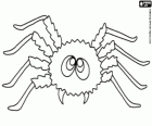 Aranha