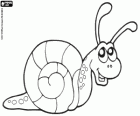 Caracol