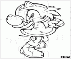 Puzzle de Amy Rose, a namorada do Sonic