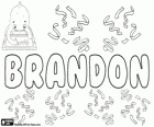 Brandon, nome de origem inglesa. Originalmente era um sobrenome, que significa uma colina coberta de giesta