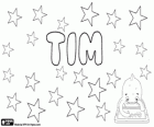 Tim, uma forma abreviada do nome Timothy. Tim, nome diminutivo usado em vários idiomas como inglês e alemão, entre outros