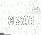 César, nome de origem latina. Vem do apelido latino Caesar