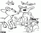 As renas Rudolph e Clarice com os animais da floresta