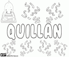 Quillan, nome de origem gaélico. Variante de Quillen