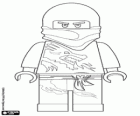 Um guerreiro ninja, Lego Ninjago
