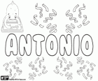 Antonio, nome de origem latina. Derivado de Antonius