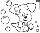 Bubble Puppy, um peixe-cachorro