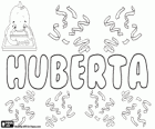 Huberta, nome de origem germânica. Forma feminina de Hubert