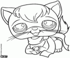 Um gatinho com cachecol, Littlest PetShop