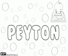 Peyton, nome de origem inglesa. Peyton, variante de Payton