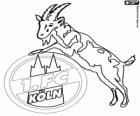 Escudo do 1. FC Köln. Clube de futebol da cidade de Colónia, Renânia do Norte-Vestfália