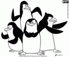 O grupo dos pinguins prontos para a ação. Os Pinguins de Madagascar