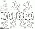 Waheeda, nome de origem árabe. Waheeda, nome para menina