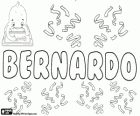 Bernardo, forma latina do nome germânico Bernhard. Seu significado é forte como um urso. Bernardo, nome masculino em Espanhol, Português e Italiano