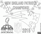New England Patriots, campeões da Super Bowl de 2015. O resultado final do jogo contra o Seattle Seahawks tem sido 28-24. O quarterback Tom Brady foi nomeado MVP da final