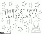 Wesley, nome de origem inglesa, com vários origens. Forma abreviada do nome Wesleydale