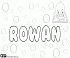Rowan, nome irlandês e inglês. Rowan, nome para menino que é usado também para menina