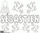 Sébastien, nome de origem latina. Derivado do nome latino Sebastianus. Sebastien, nome masculino francês. Seu diminutivo é Bastien