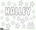 Halley, nome usado para menino e menina. Halley, nome com origens diversas. Halley, variante de Hallie e Harriet. Halley é também um sobrenome inglês
