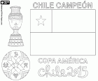 A equipe nacional do Chile foi proclamada campeão da Copa América de 2015. A partida e o tempo extra terminaram 0-0 no placar. Chile derrotou a equipe nacional da Argentina na disputa de pênaltis
