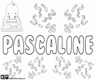 Pascaline, nome francês para meninas. Pascaline, variante de Pascale, forma feminina de Pascal. Todos estes são nomes que derivado do latim Paschalis que significa pascal, relacionada com a Páscoa