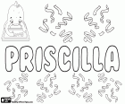 Priscilla, variante de Priscila, Priscille e Pryscylla. Priscilla, nome para menina de origem latina. Priscilla, nome bíblico, personagem do Novo Testamento