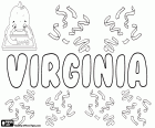 Virgínia, nome feminino de origem latina, derivado de Virginius. Virginia ou Verginia, personagem da mitologia romana