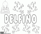 Delfino, um nome derivado do nome em latim Delphinus, que provém da palavra grega delphis significa golfinho