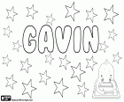 Gavin, nome próprio masculino em inglês, francês e escocês que vem do nome medieval Gawain