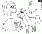 Um grupo de quatro animais da fazenda. Nesta imagem de colorir, há um pintinho, uma ovelha, um porco na lama e um cavalo