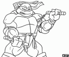 A tartaruga ninja Michelangelo com sua arma favorita, duas nunchakus