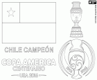 Chile, duas vezes campeão da Copa América 2015 e 2016. A equipa de futebol nacional do Chile é o campeão da Copa América Centenario 2016, derrotou Argentina no desempate, o resultado da partida foi 0-0. Os chilenos Alexis Sanchez tem sido o melhor jogador do torneio, Claudio Bravo tem sido o melhor goleiro e Eduardo Vargas tem sido o melhor marcador