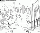 Neste desenho para colorir o cão Max na calçada de uma rua de Manhattan, Nova Iorque. A Vida Secreta dos Bichos