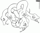 A Hidra é uma criatura mítica, sob a forma de uma serpente com muitas cabeças em mythologie grega e romana