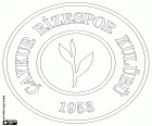 Logo do Çaykur Rizespor Kulübü, Çaykur Rize Spor Kulübü, clube desportivo de Rize, cidade localizada a leste da região do mar Negro e capital da província homónima