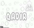 Qadir, nome masculino de origem árabe, variante de nomes como Kadir, Kader, Qader e Ghader entre outros