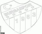 Distintivo de Bursa Spor Kulübü, Bursaspor Kulübü, clube de futebol com sede em Bursa, cidade no noroeste da Anatólia e capital da província com o mesmo nome