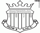 Emblema do Miejski Klub Sportowy Sandecja Nowy Sącz, clube de futebol baseado em Nowy Sącz, cidade na confluência dos rios Kamienica e Dunajec, no sul da Polônia na voivodia da Pequena Polónia
