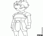Cabba, um Saiyajin do universo 6, um novo personagem de Dragon Ball Super