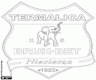 Emblema do Bruk-Bet Termalica Nieciecza Klub Sportowy, clube de futebol com sede em Nieciecza, aldeia no sudeste da Polónia, na voivodia da Pequena Polônia, localizado a 60 km a leste de Cracóvia